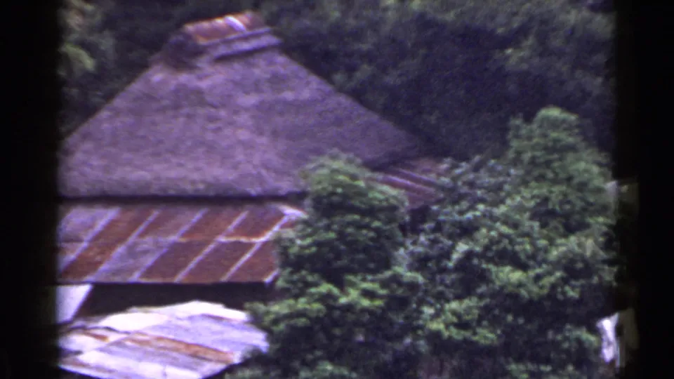 1953 Japan rural frame with a thatched roof, weathered roof panels, dense trees, and a white cloth or laundry piece near the edge.