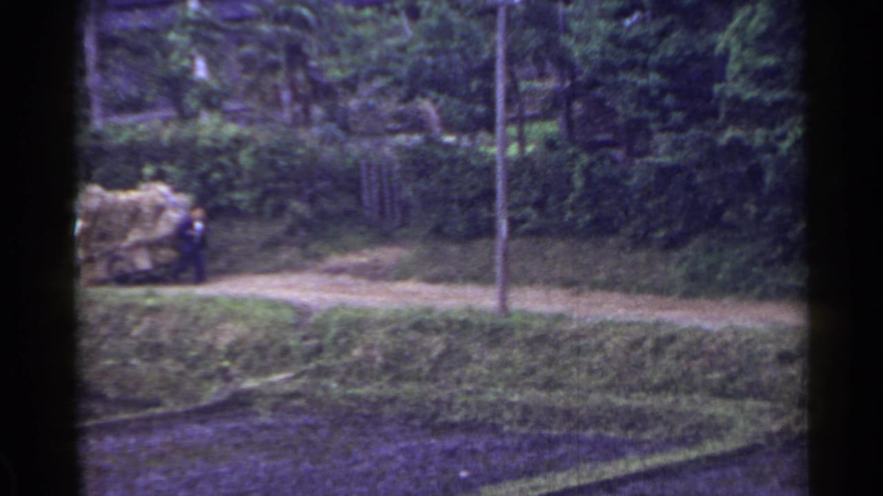 Two men push a hay-loaded cart along a rural dirt path beside trees.
