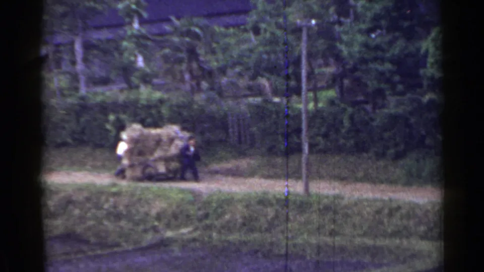 Two men in rural Japan push a hay-laden cart along a path, with trees and a utility pole behind them.