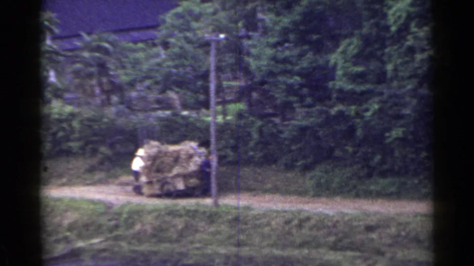 Two men appear beside a hay-loaded cart on a rural Japanese path, partly obscured by soft focus and film framing.