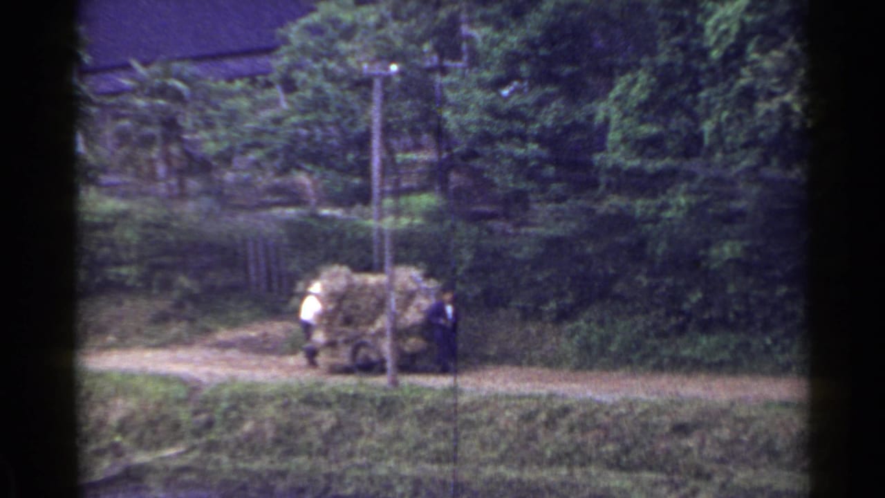 Two men move a hay-loaded cart along a rural dirt path beside trees.
