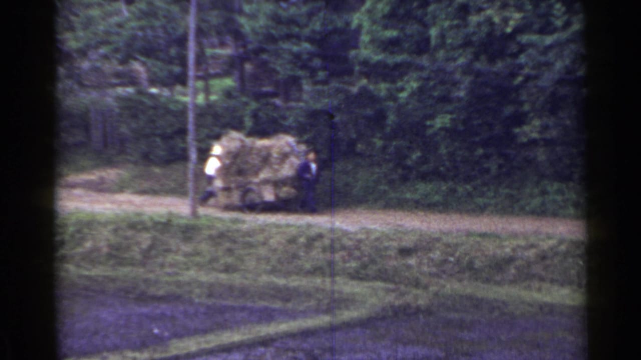 A hay-loaded cart passes a utility pole on a tree-lined dirt road.