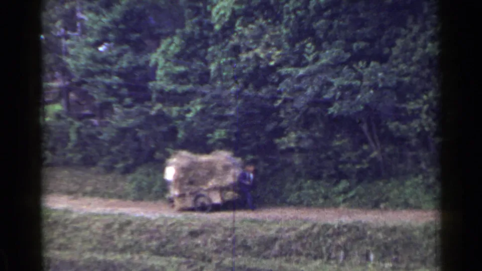Near the end of the clip, the hay or straw cart continues along the dirt path, framed by dense trees and visible 8mm film borders.