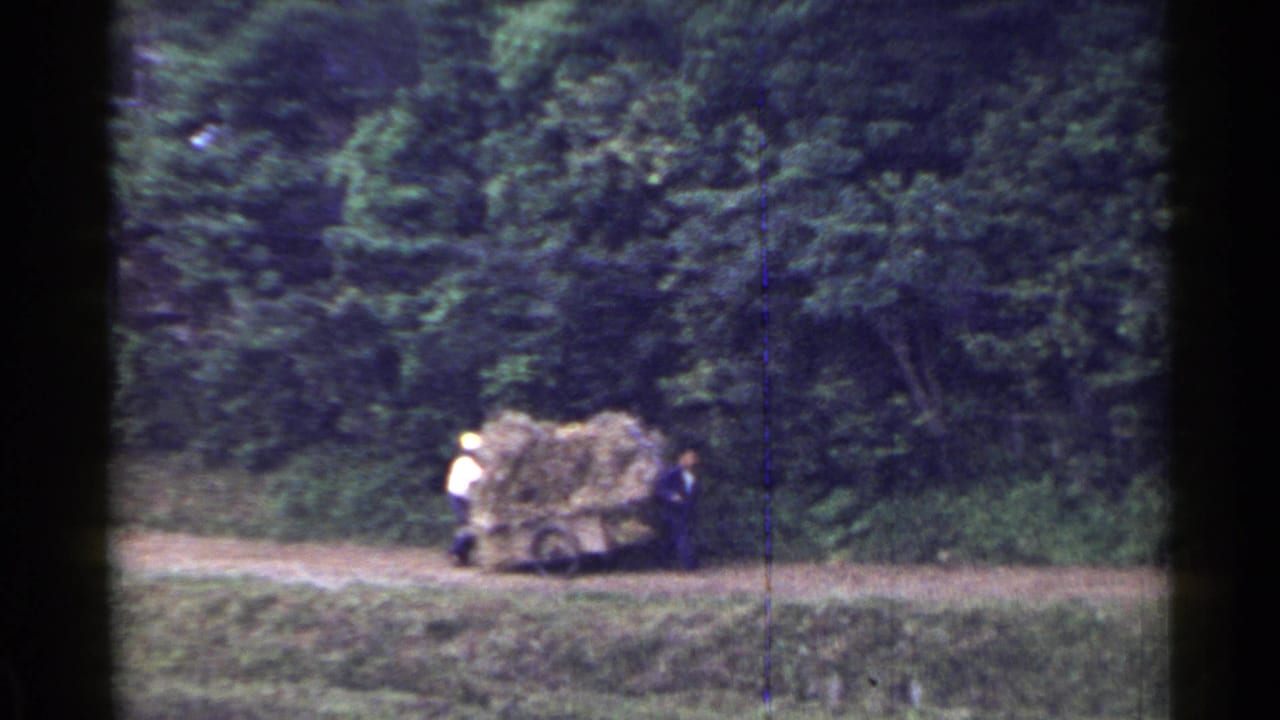 Two people stand by a hay-loaded cart on a dirt path near dense trees.