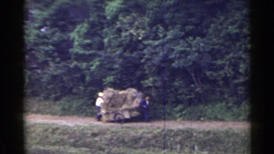 In 1953 Japan, two people appear beside a cart piled with hay on a rural dirt path bordered by dense green trees.