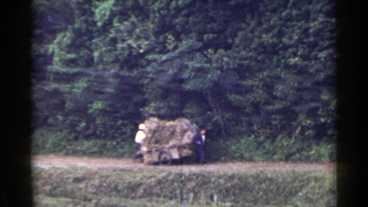 A hay-loaded cart sits on a rural path with two people nearby and trees behind it.