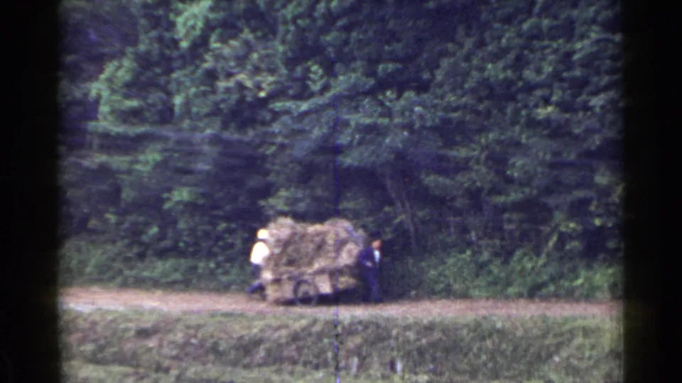 A hay cart and two nearby figures appear on a tree-lined rural path in supported 1953 Japan home-movie footage.