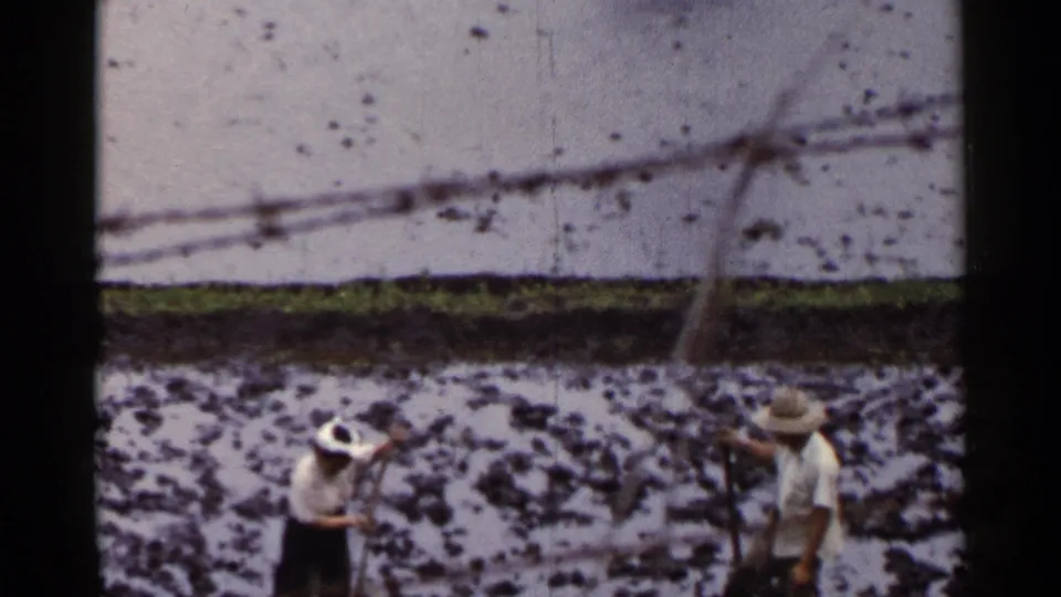 1953 Japan home-movie still showing two paddy workers with straw hats and hand tools in wet mud.