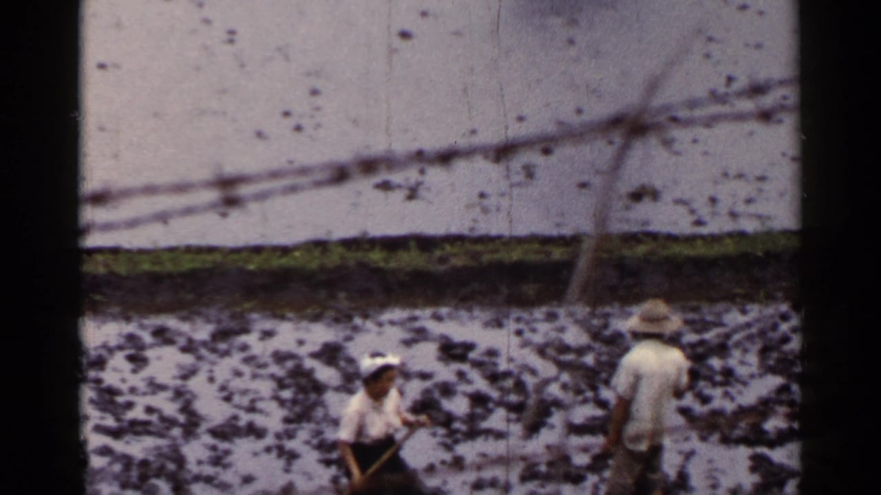 1953 Japan frame of two adults working in a wet rice field, with straw hats, a hand tool, and waterlogged ground visible.