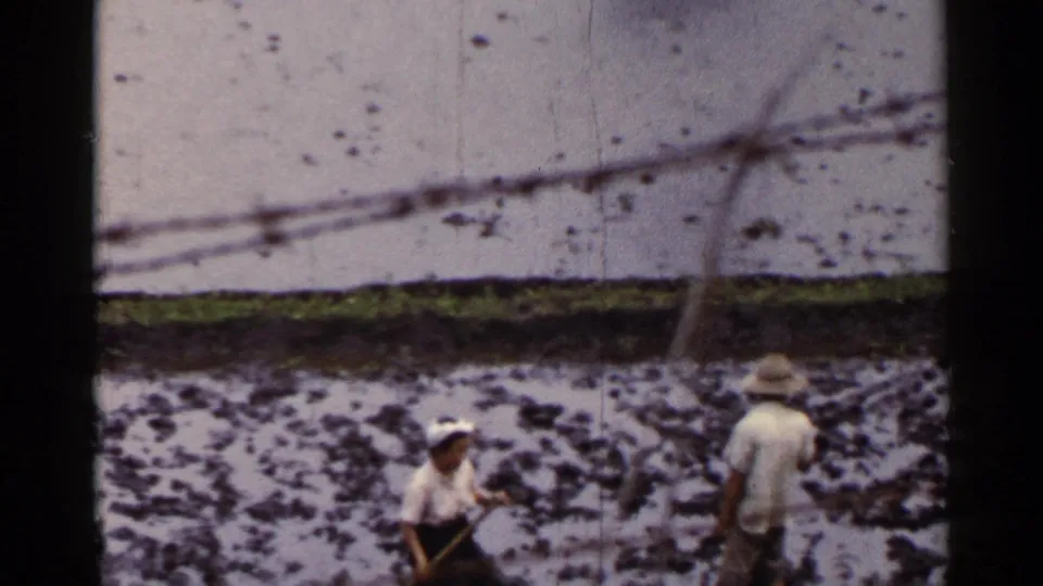 1953 Japan frame of two adults working in a wet rice field, with straw hats, a hand tool, and waterlogged ground visible.