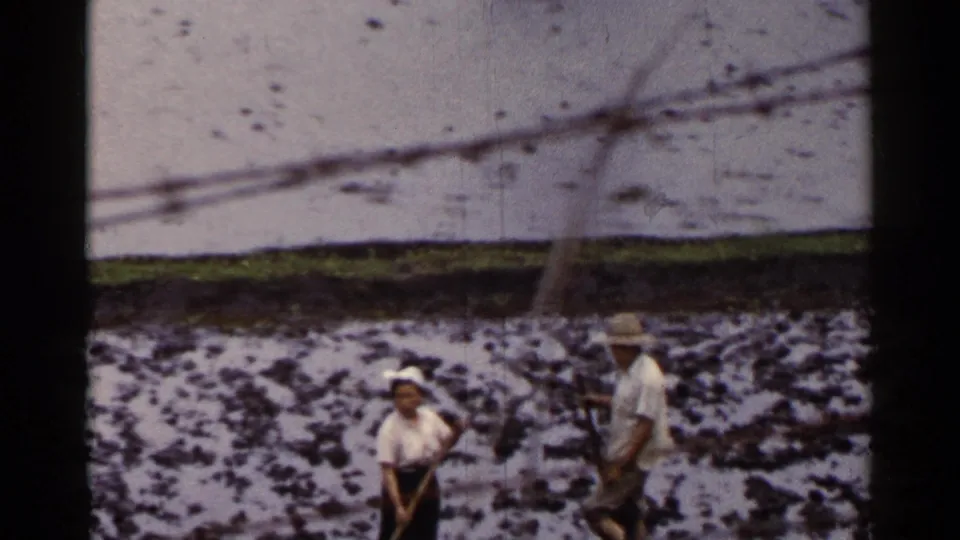 1953 Japan home-movie frame showing adult farm workers in a waterlogged rice field, one holding a long-handled tool.