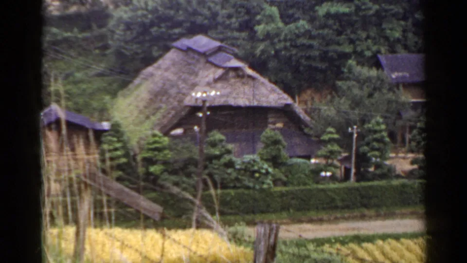 1953 Japan rural village view with a thatched-roof farmhouse, surrounding greenery, field edges, and utility poles.