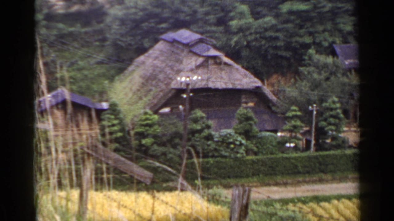 1953 Japan home-movie frame showing a thatched rural house, hedges, rice fields, trees, and a dirt path.