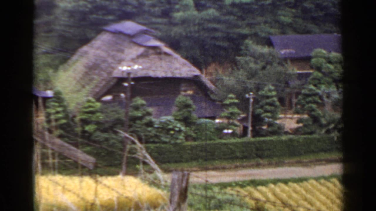 Rural Japan frame from 1953 showing a thatched-roof dwelling amid hedges, fields, trees, and utility poles.
