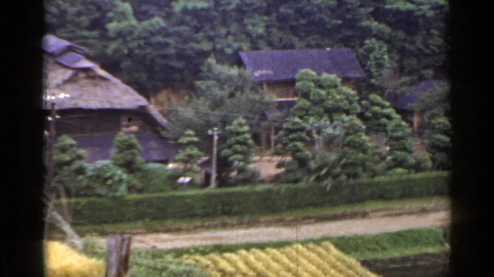 1953 Japanese countryside view with part of a thatched house, another roofed building, hedges, fields, and trees.