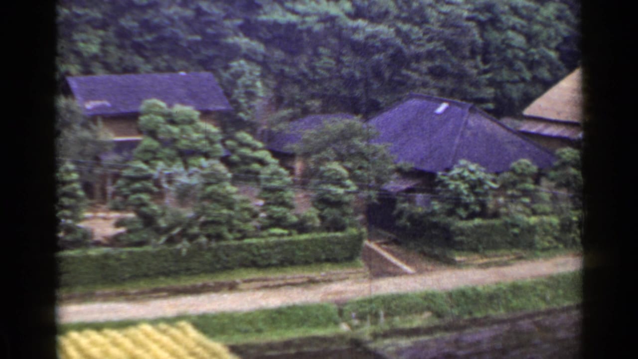 Rural houses with dark sloped roofs beside trees, hedges, a path, and field edges.