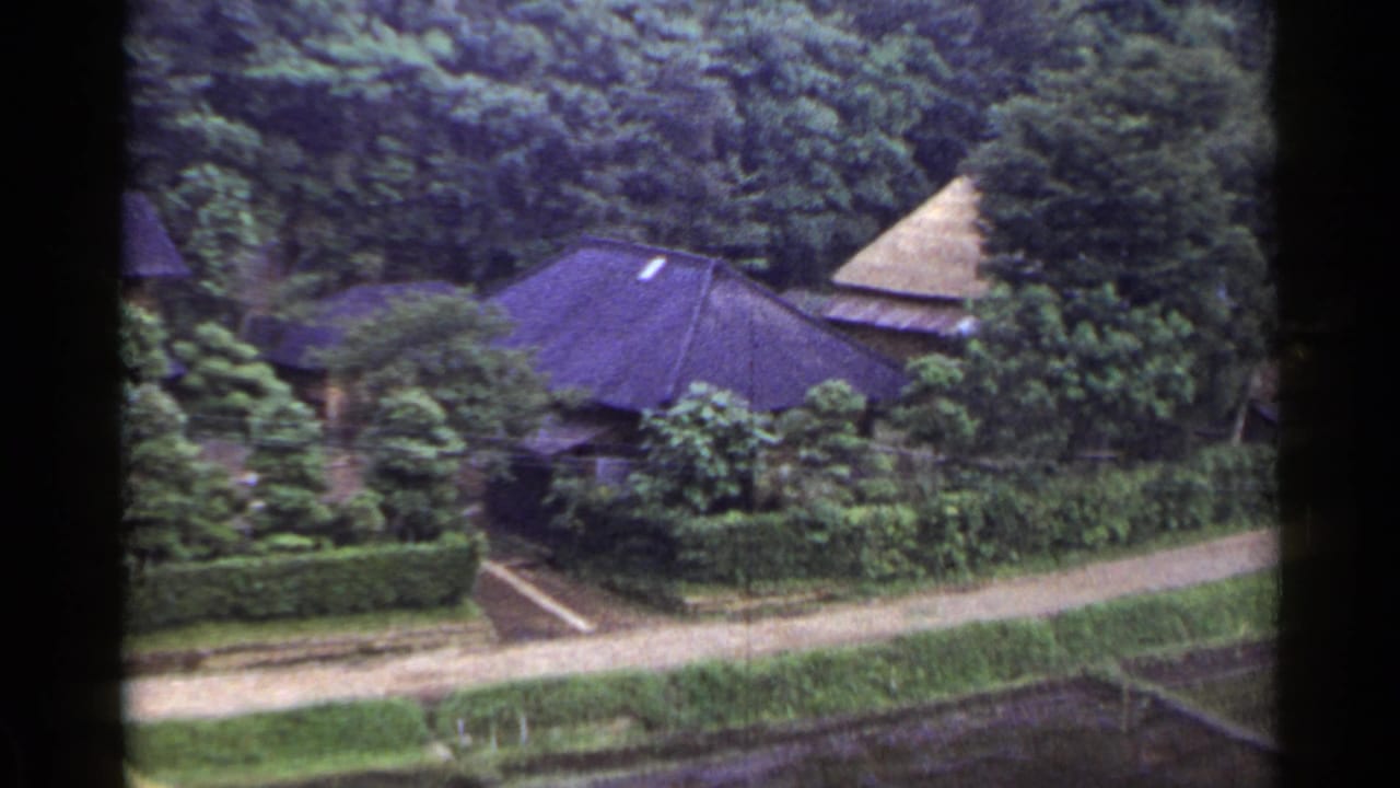 1953 Japan rural village view with dark sloped roofs, a thatched roof, dense trees, hedges, and a narrow path.