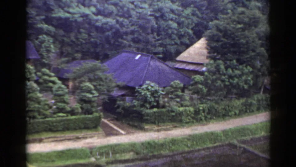 1953 Japan rural village view with dark sloped roofs, a thatched roof, dense trees, hedges, and a narrow path.