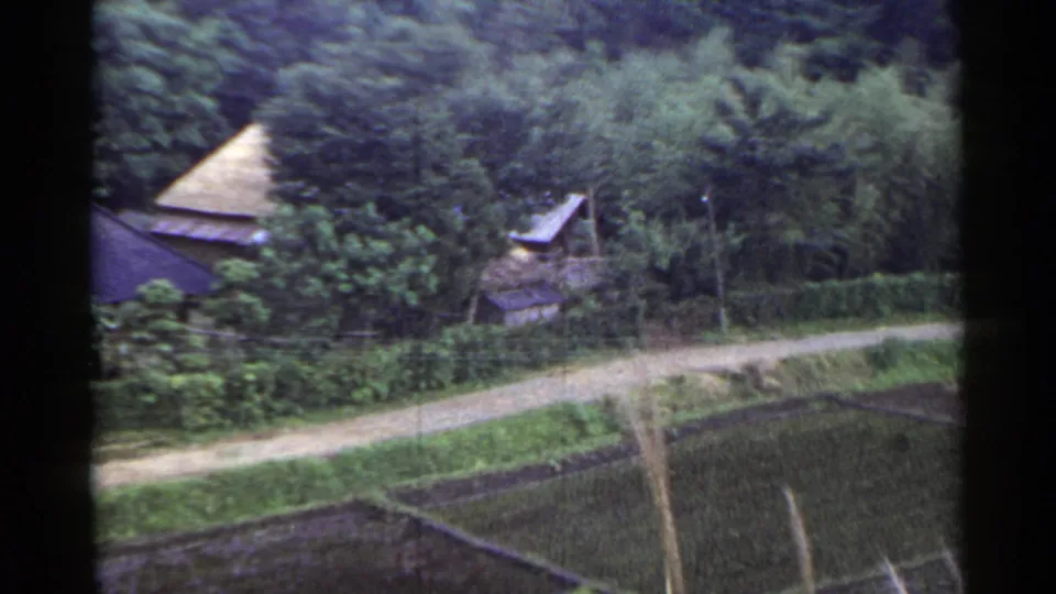1953 Japan home-movie frame with a rural path, paddy edge, hedges, trees, a dark roof, and a thatched roof partly visible.