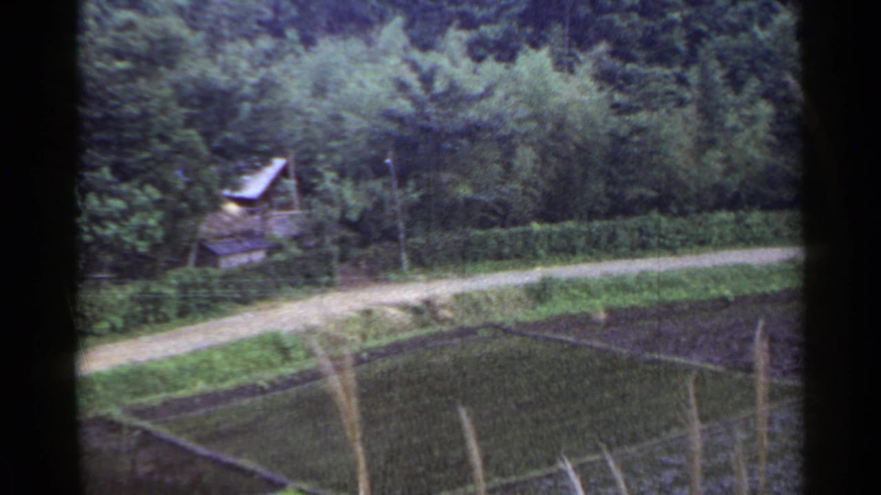 1953 Japan frame with a pale dirt road, green fields, wooded background, and small rural buildings partly hidden by foliage.