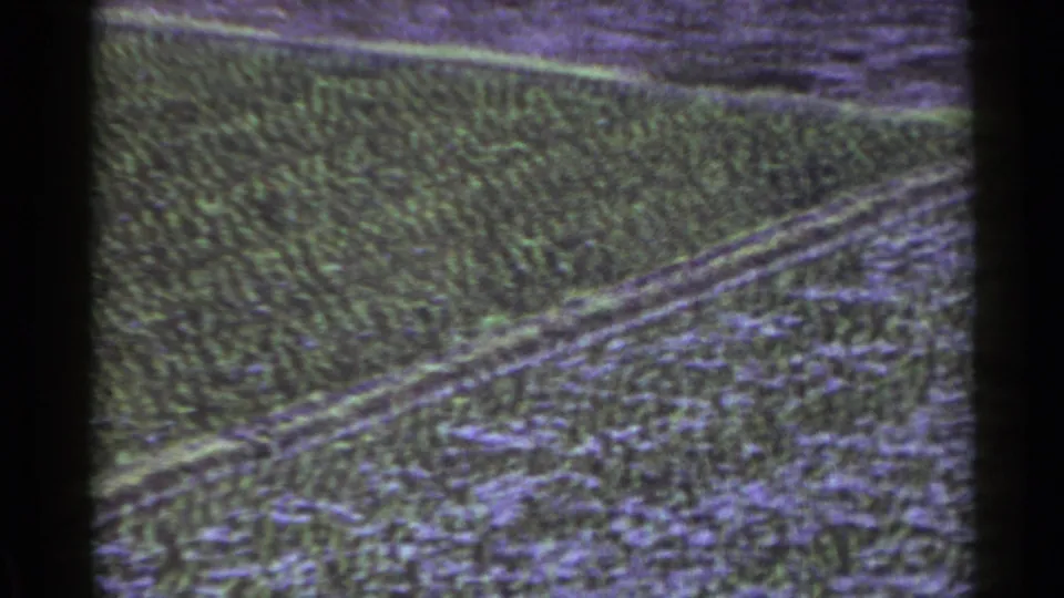 1953 Japan aerial landscape showing textured forest canopy and multiple pale tracks near the lower right of the frame.