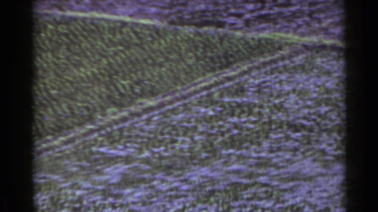 Grainy crop field with diagonal rows and dark film borders.