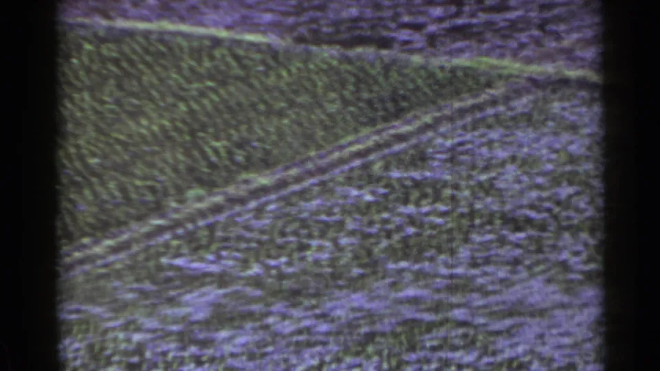 1953 Japan 8mm frame showing a grainy cultivated field with diagonal rows and purple-green color shift.