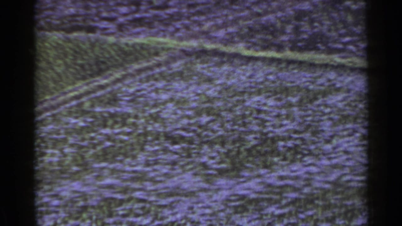 Open field with furrow lines, low plants, and heavy film grain.