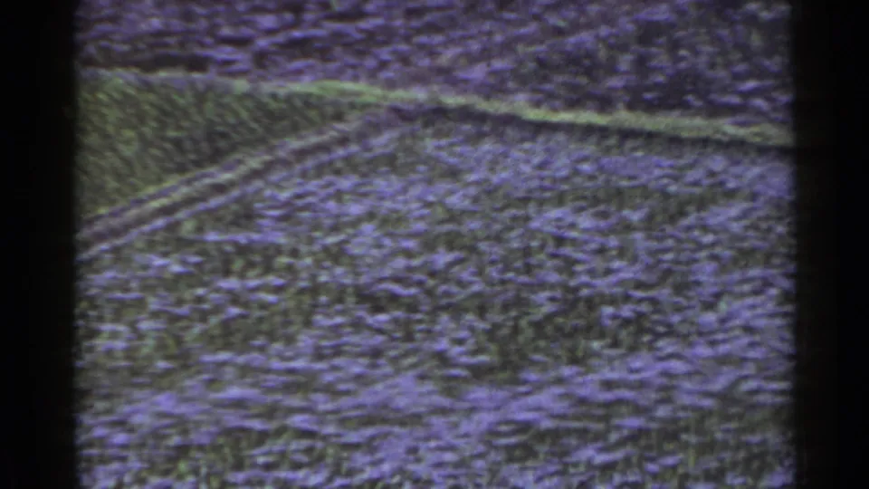 1953 Japan 8mm view of open farmland with faint furrows, low plants, and visible purple-green film tint.