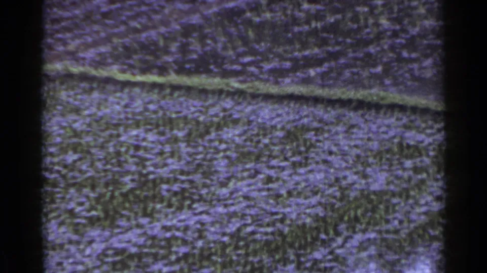 1953 Japan 8mm frame with low field vegetation, a diagonal row edge, and pronounced home-movie grain.