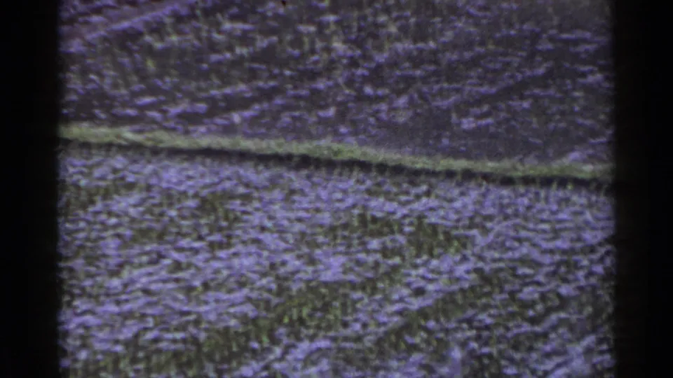 1953 Japan 8mm view of crop rows and textured farmland surface with strong purple-green color shift.