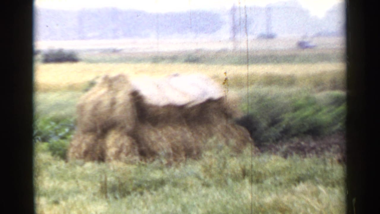 Covered hay or straw stack beside green fields and distant trees.