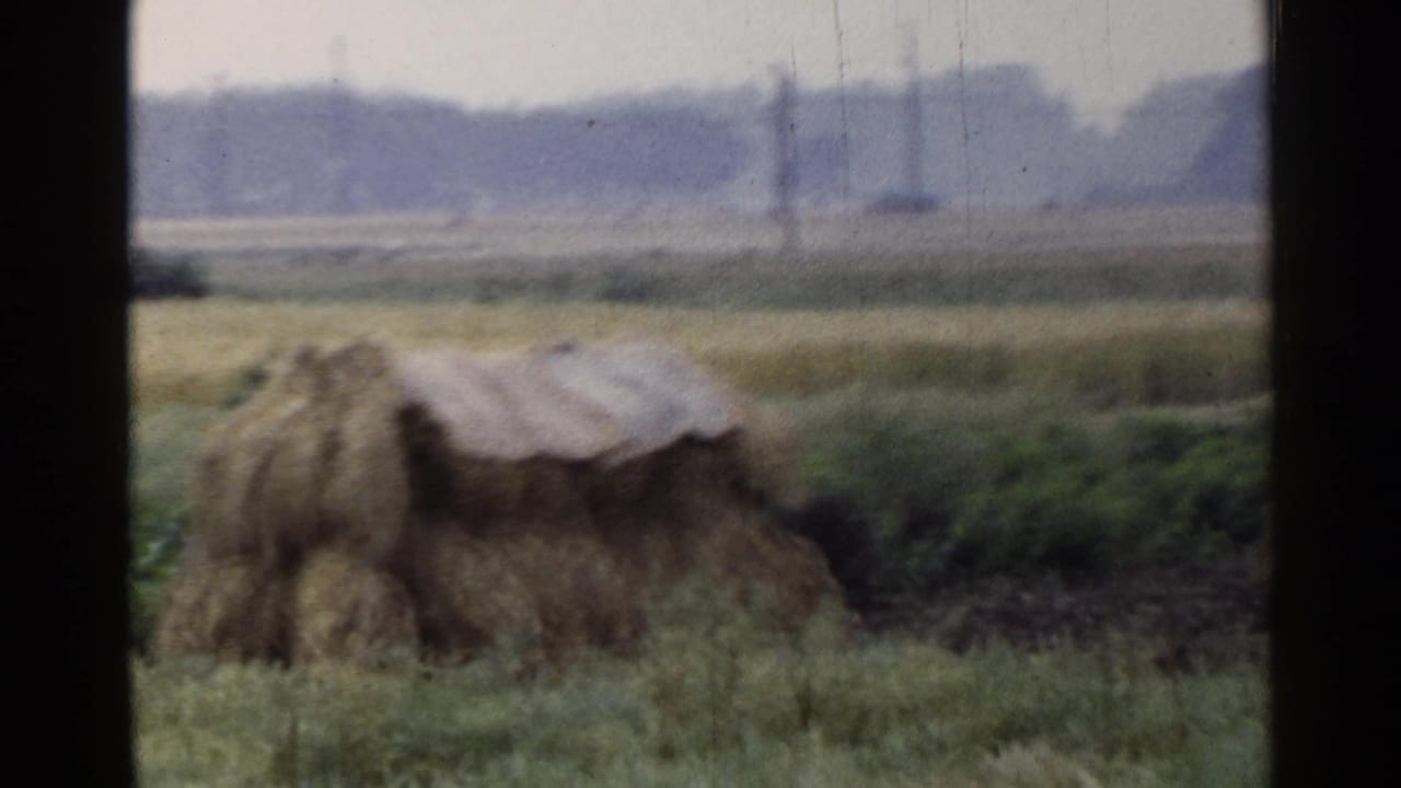 1953 Japan countryside view with a covered hay or straw stack, open fields, distant utility poles, and soft 8mm grain.