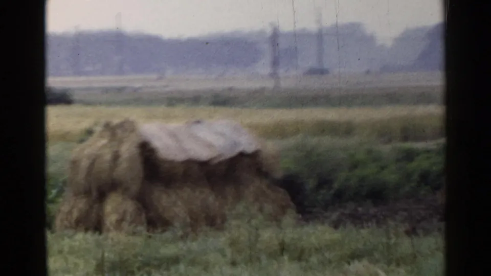 1953 Japan countryside view with a covered hay or straw stack, open fields, distant utility poles, and soft 8mm grain.