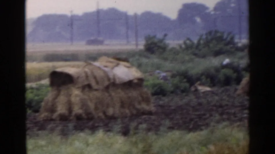 1953 Japan 8mm view of a covered hay or straw stack near low plants, open fields, utility poles, and a hazy tree line.