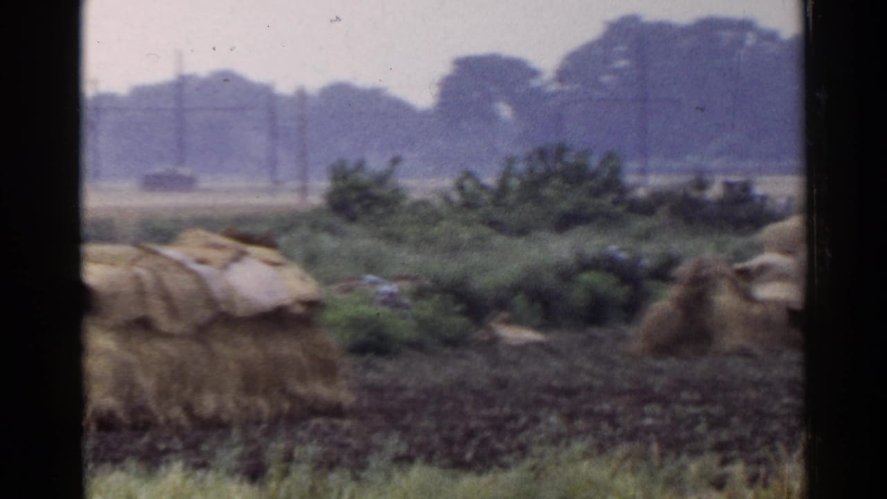 Plowed field with covered hay or straw stacks and distant trees.