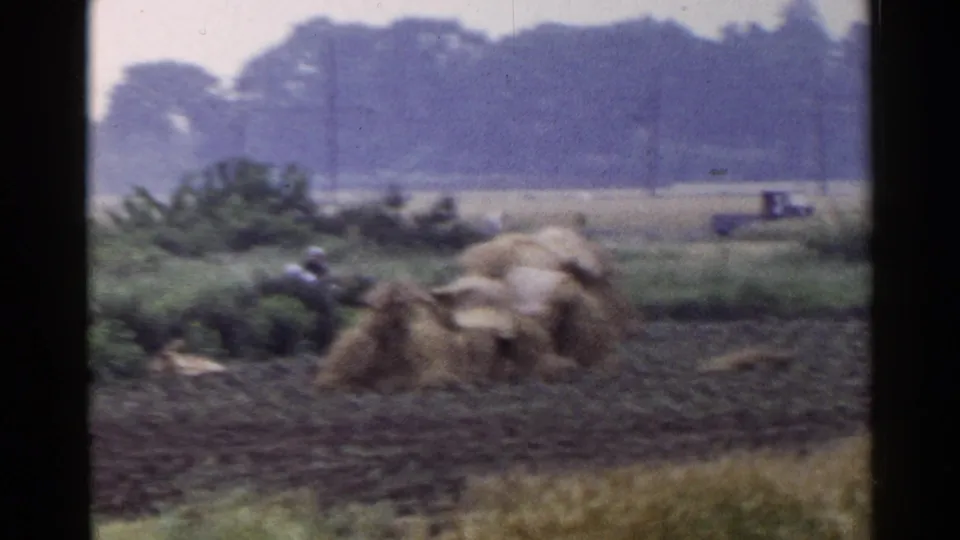 1953 Japan rural frame with covered hay or straw stacks, dark soil, a distant person near the vegetation, utility poles, and a small vehicle far right.
