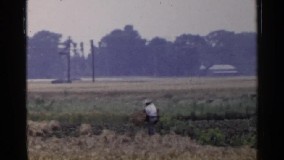 In 1953 Japan footage, a distant person in a white shirt works near a yellow hay bale in a harvested field.