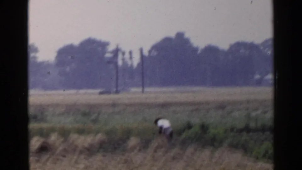 The 8mm frame shows a distant person working low in a harvested field in rural Japan, with poles and trees beyond.