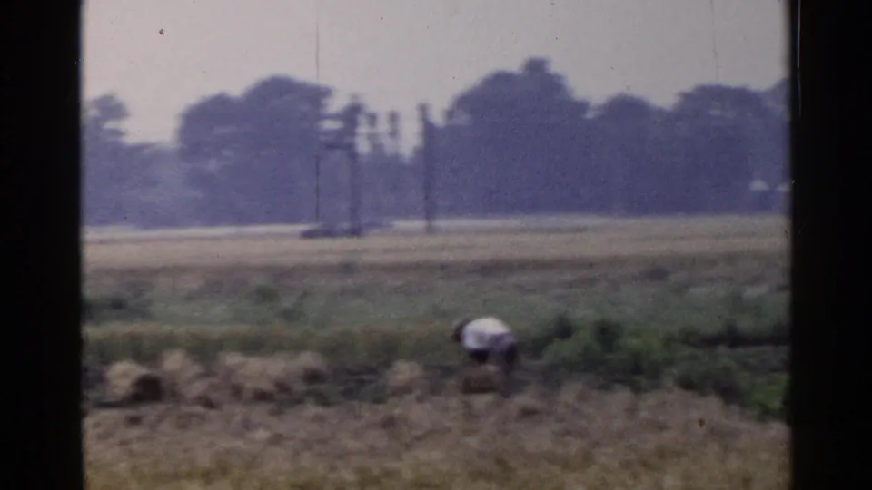 A distant person in a white shirt bends near a hay or straw bale in a 1953 Japan countryside field scene.