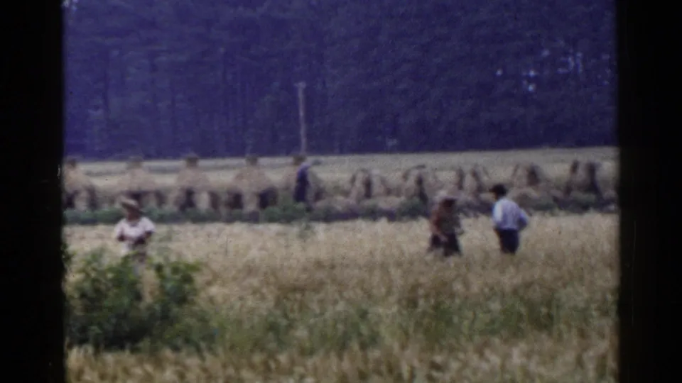 1953 Japan home-movie frame showing distant figures walking through a harvest field beneath a dark wooded backdrop.