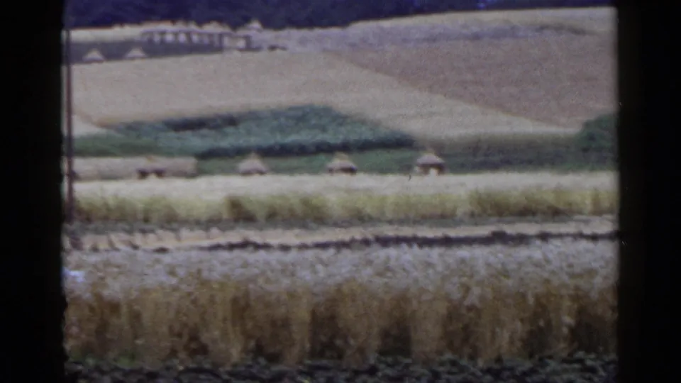 The frame holds on dry grain rows, terraced fields, and small thatched shelters in rural Japan, with the worker mostly out of view.