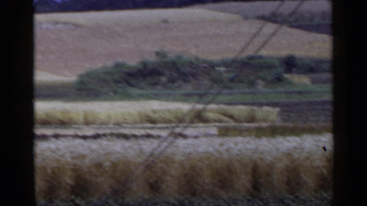 Distant rural fields with grain, dark soil, low hills, and wires crossing the frame.