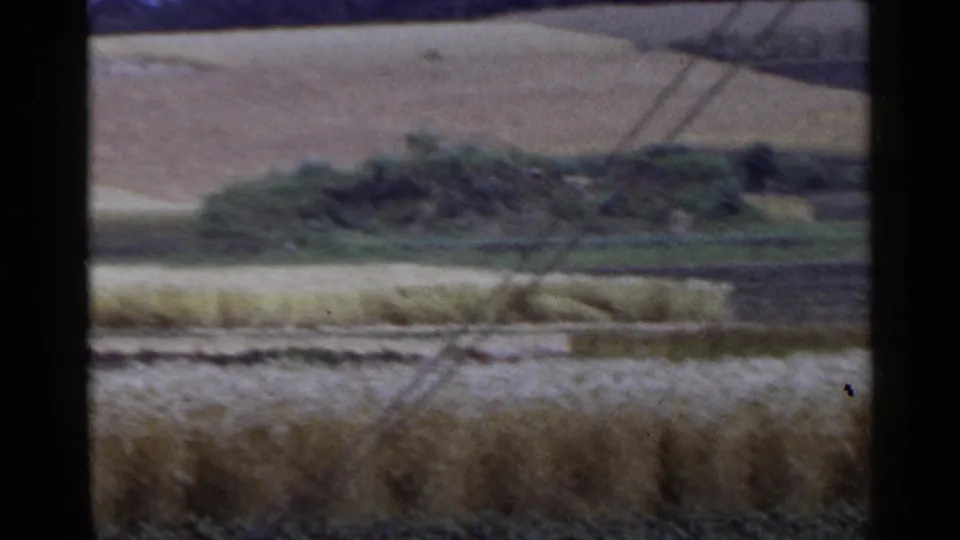 1953 Japan home-movie view of rural farmland with grain fields, plowed plots, low hills, and utility wires in soft focus.