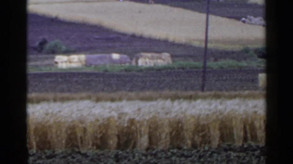 1953 Japan home-movie frame showing layered fields, distant hay bales or low farm buildings, a utility pole, and rolling hills.