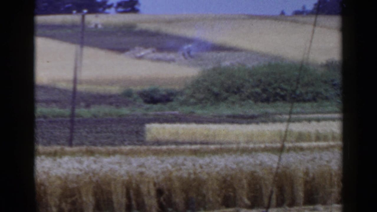 Rural fields with brush, smoke, hillside rows, crop stacks, and utility poles.