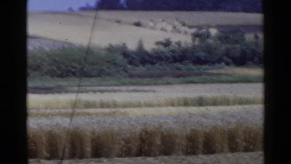 1953 Japan 8mm frame showing layered rural fields, brushy borders, hay or crop stacks on a hillside, faint smoke, and open sky.