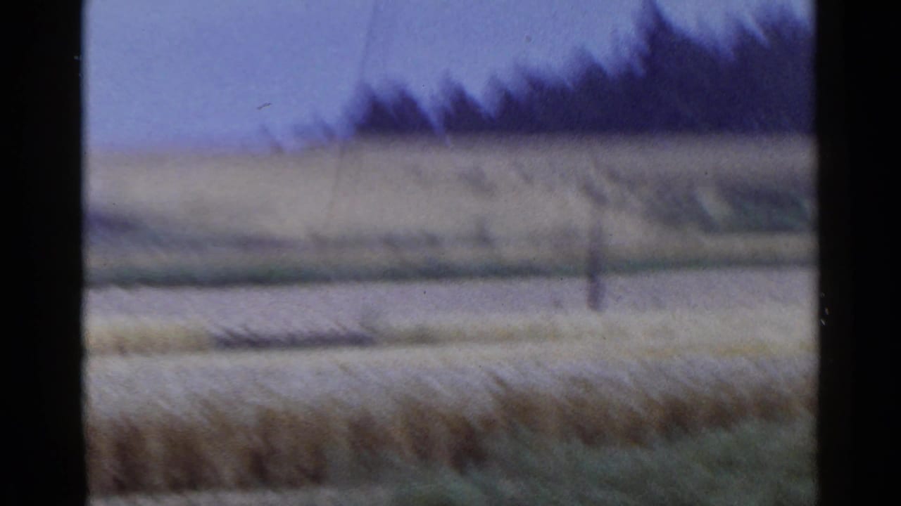 Soft, blurred view of yellow and green fields beside a road under grey sky.