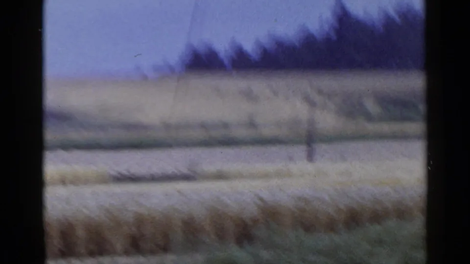 1953 Japan home-movie frame showing blurred cultivated fields, roadside verge, trees, and muted overcast sky.