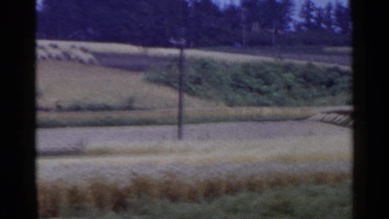 Cultivated fields with utility poles, trees, and low structures in the distance.